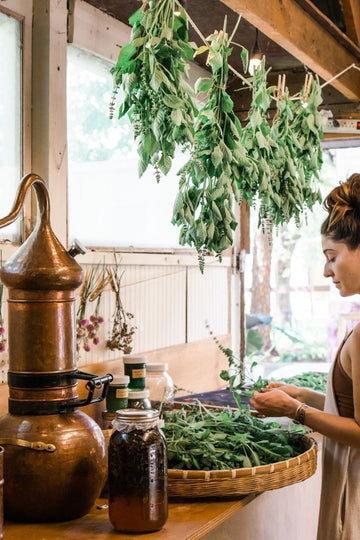 Rooted in Nature. Backed by Veda.